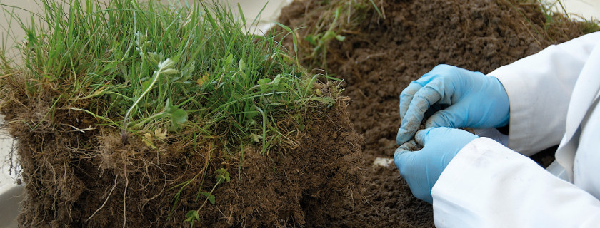Close-up of gloved hands examining dark soil and fine grass roots, calm greens and browns, clinical documentary mood